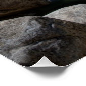 Fälle von Lower Yosemite Poster (Ecke)