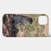 Fälle von Prairie Dog Family iPhone Case-Mate iPhone Hülle (Rückseite (Horizontal))