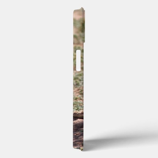 Fälle von Prairie Dog Family iPhone Case-Mate iPhone Hülle (Rückseite / Rechts)