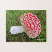 Fallen Agarius / Amanita Muscaria Roter Pilz Puzzle (Horizontal)