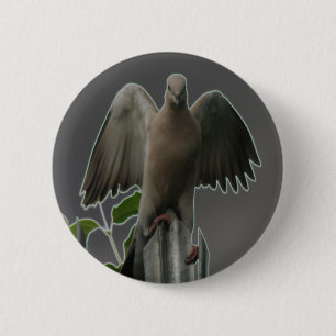 Fallen Angel Dove Button