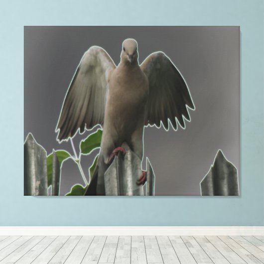 Fallen Angel Dove Canvas Print Leinwanddruck (Insitu (Holzboden))
