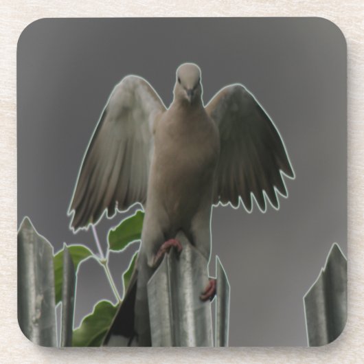 Fallen Angel Dove Cork Untersetzer (Vorderseite)