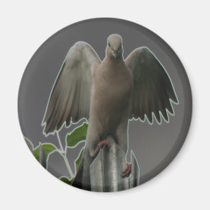 Fallen Angel Dove Magnet