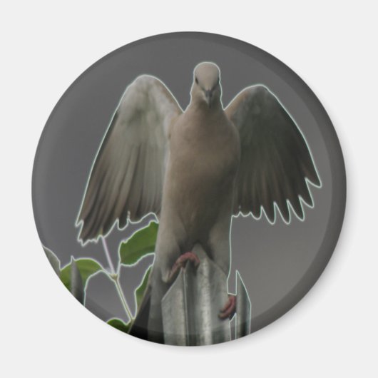 Fallen Angel Dove Magnet (Vorne)