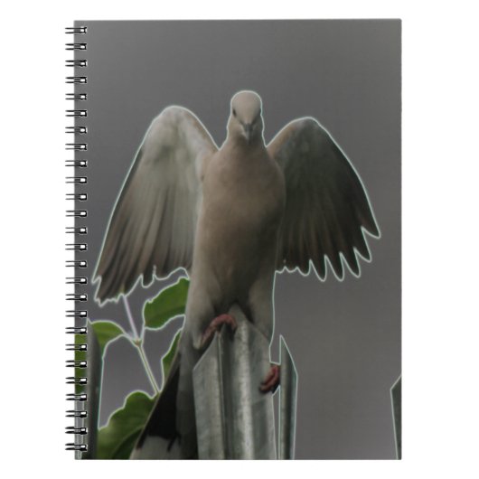 Fallen Angel Dove Notebook Notizblock (Vorderseite)