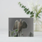 Fallen Angel Dove Postcard Postkarte (Stehend Vorderseite)