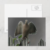 Fallen Angel Dove Postcard Postkarte (Vorne/Hinten)
