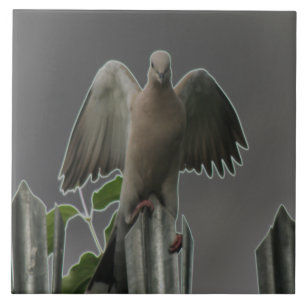 Fallen Angel Dove Tile Fliese