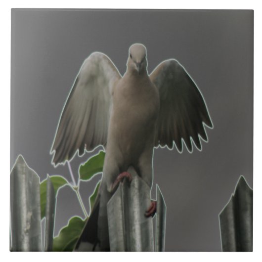 Fallen Angel Dove Tile Fliese (Vorderseite)