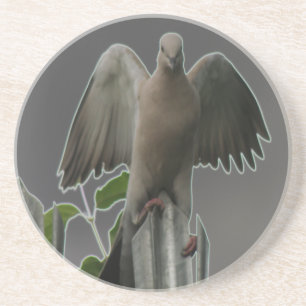Fallen Angel Dove Untersetzer