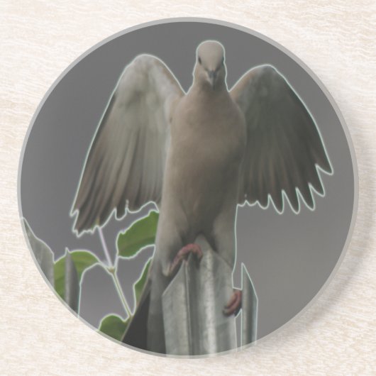 Fallen Angel Dove Untersetzer (Vorne)