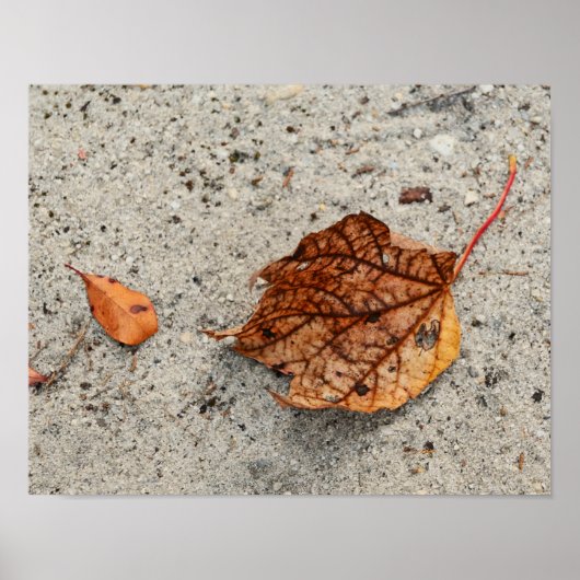 Fallen Autumn Leaves Foto Poster (Vorne)