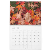 Fallen Blätter Autumn Calendar Kalender (Mär 2027)