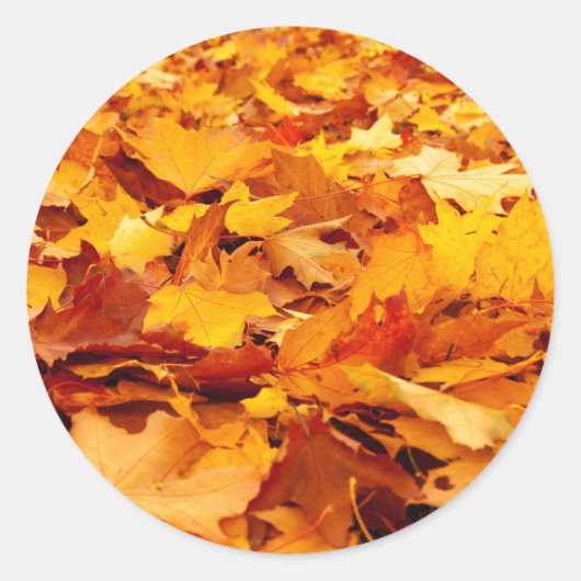 Fallen Blätter Umschlag Aufkleber Stickers (Vorderseite)
