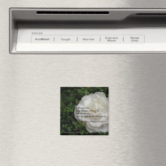 Fallen Camellia/Zen Zitat Magnet (In Situ (Geschirrspüler))