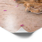 Fallen King Fotodruck (Ecke)