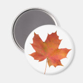 Fallen Leaf 01 Magnet (Vorderseite/Rückseite)