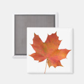 Fallen Leaf 01 Magnet (Vorderseite/Rückseite)