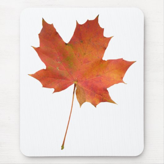 Fallen Leaf 01 Mousepad (Vorne)