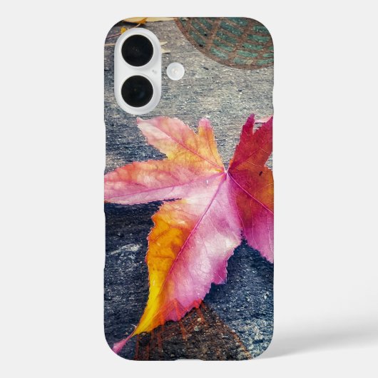 Fallen Leaf Case-Mate iPhone Hülle (Rückseite)