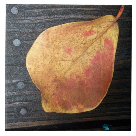 Fallen Leaf Fliese (Vorderseite)