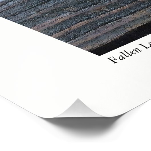 Fallen Leaf Fotodruck (Ecke)