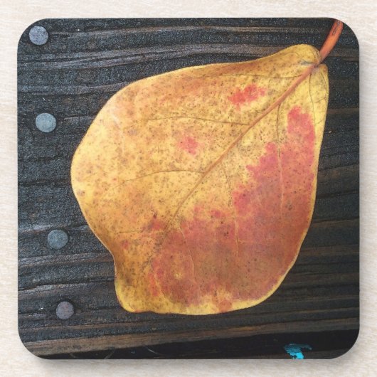 Fallen Leaf Getränkeuntersetzer (Vorderseite)