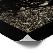 Fallen Leaf Lake Foto 1906 Poster (Ecke)