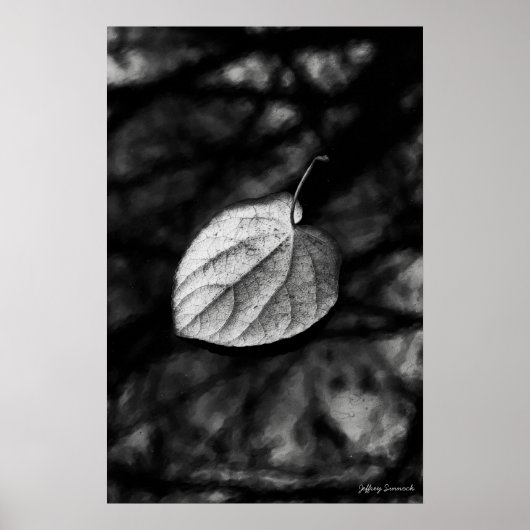 Fallen Leaf Poster (Vorne)