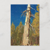 Fallen Leaf von Maynard Dixon Begleitkarte (Vorderseite)