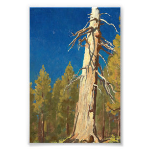 Fallen Leaf von Maynard Dixon Fotodruck