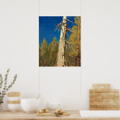 Fallen Leaf von Maynard Dixon Poster (Küche)