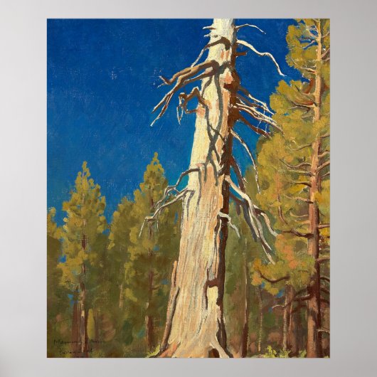 Fallen Leaf von Maynard Dixon Poster (Vorne)