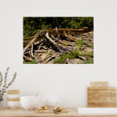 Fallen Pine Tree Poster (Küche)