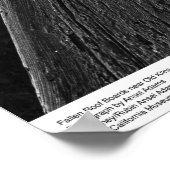 Fallen Roof Boards near Old Kilns, 1963 Poster (Ecke)