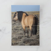 "Fallen Star in Front of the Wind River Mountains" Einladung (Innenseite)