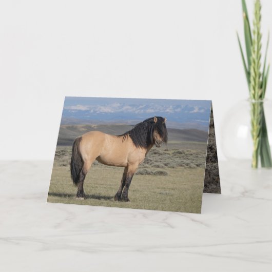 "Fallen Star in Front of the Wind River Mountains" Einladung (Vorderseite)