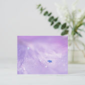 Fallen Star Postkarte (Stehend Vorderseite)