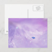 Fallen Star Postkarte (Vorne/Hinten)