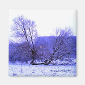 Fallen Tree Blue Magnet (Vorne)
