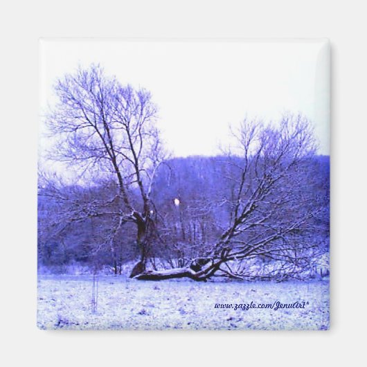 Fallen Tree Blue Magnet (Vorne)