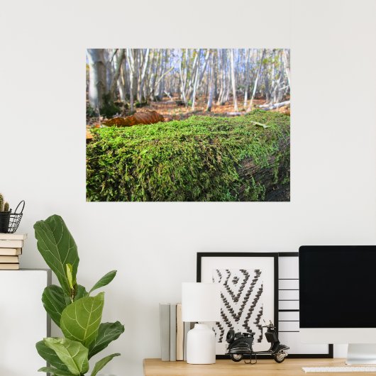 Fallen Tree in Autumn Moss  - Personalised Poster (Heimbüro)