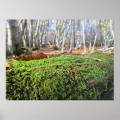 Fallen Tree in Autumn Moss  - Personalised Poster (Vorne)