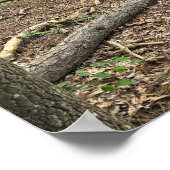 Fallen Tree in Park Poster (Ecke)