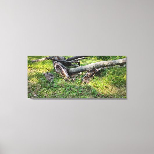 Fallen Tree Puzzle Leinwanddruck (Vorderseite)