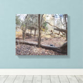 Fallen Trees Leinwanddruck (Insitu (Holzboden))