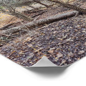 Fallen Trees Poster (Ecke)