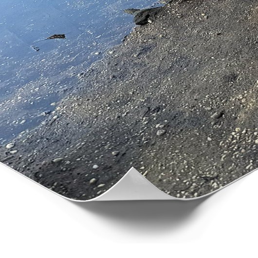 Fallen Trees Waterscape Poster (Ecke)