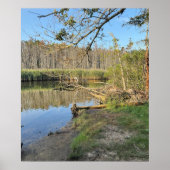 Fallen Trees Waterscape Poster (Vorne)